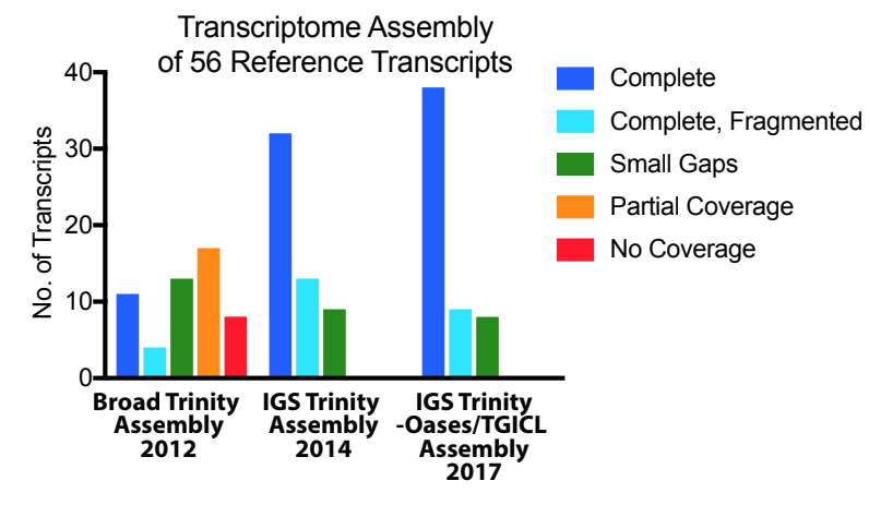 Progress in CNS transcriptome assembly